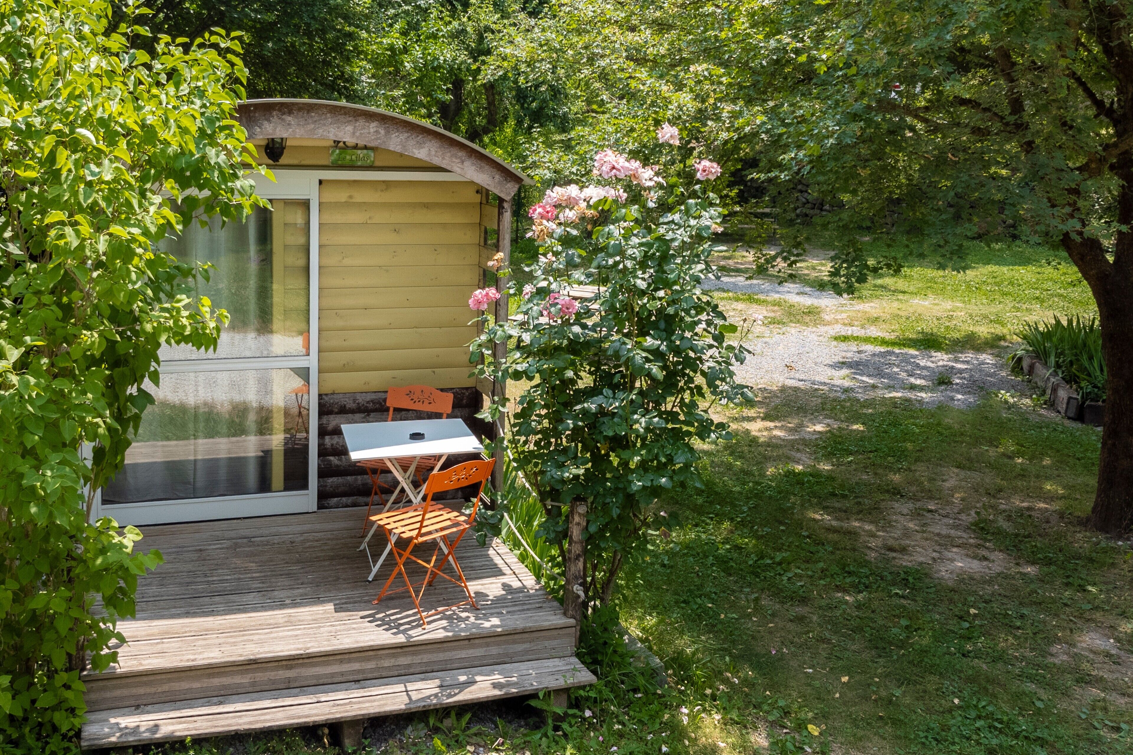 A wooden deck with a table and chairs, a small shed, and a rose bush.