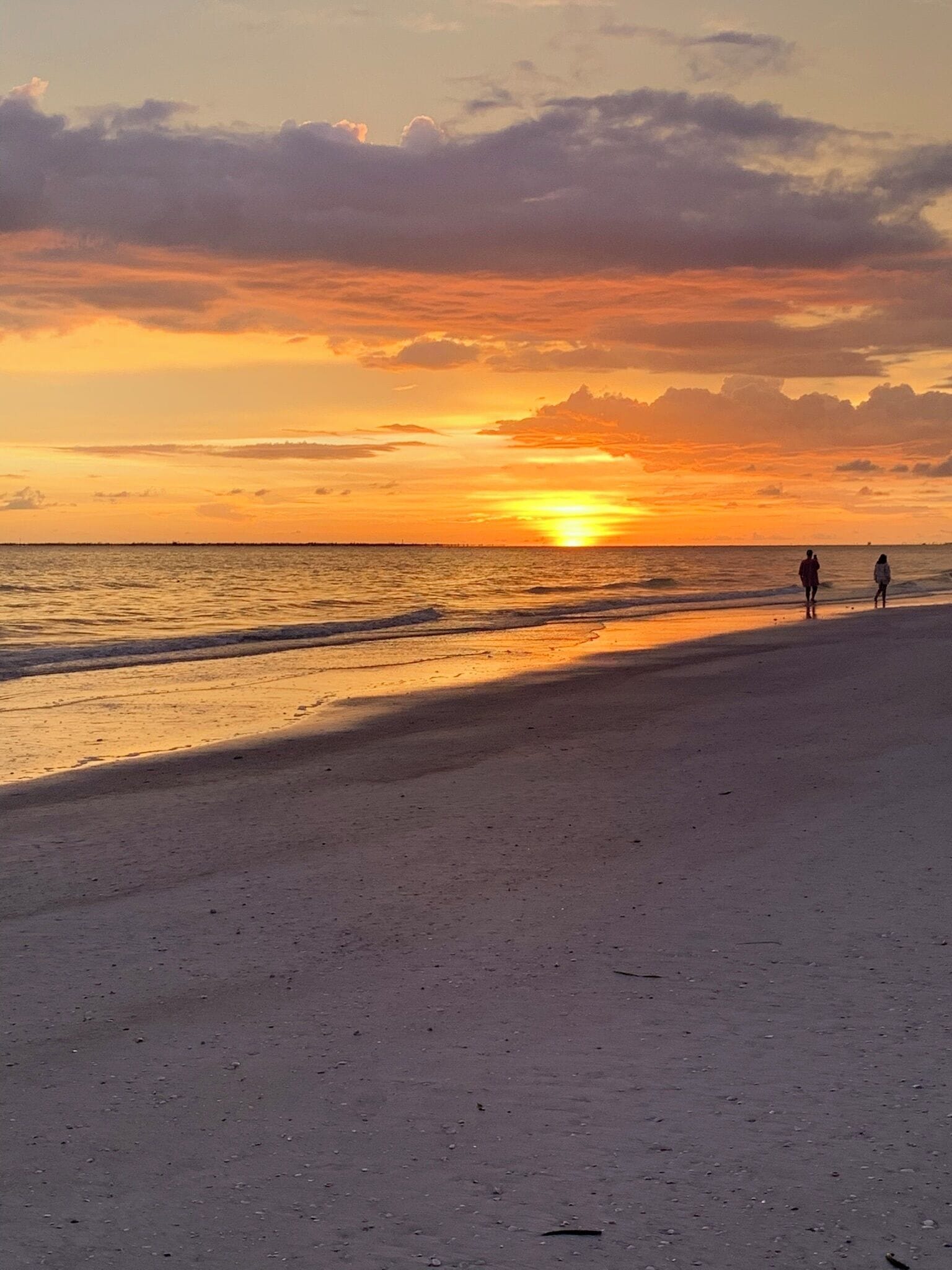 Chaises longues, serviettes de plage