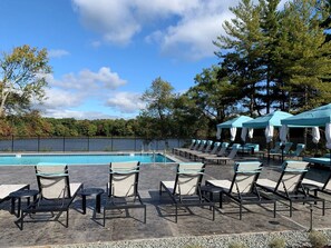 Pool - Landing | Beautiful 2BD, Clubhouse, Gym (Windsor)
