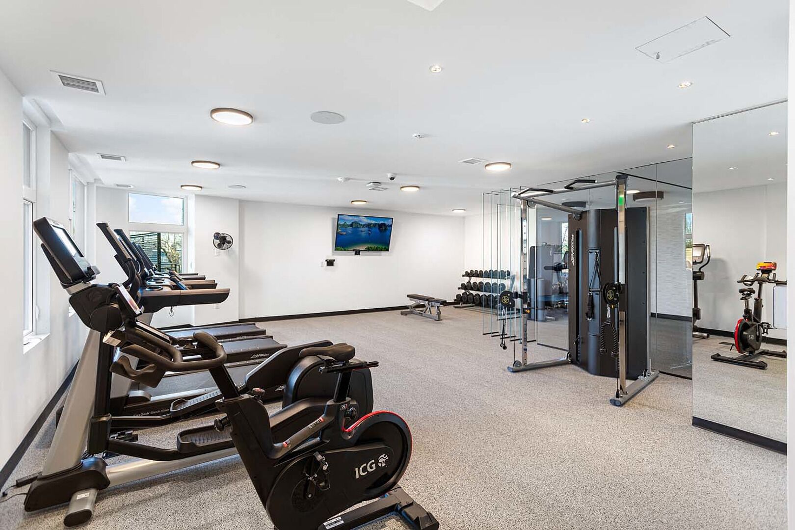 A modern gym with cardio machines, weightlifting equipment, and a large mirror.