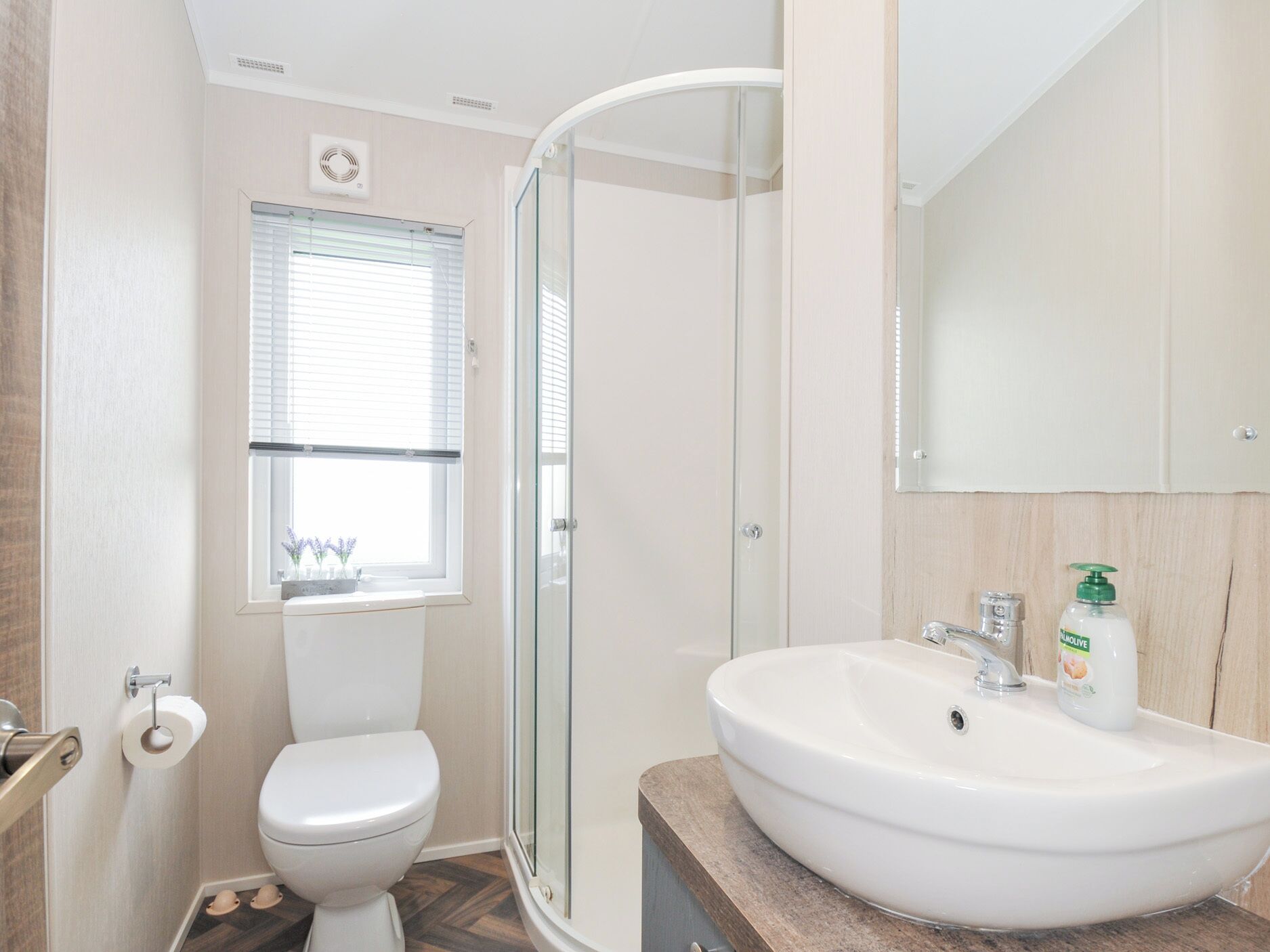 A modern bathroom with a toilet, a glass shower enclosure, and a sink with a mirror above it.