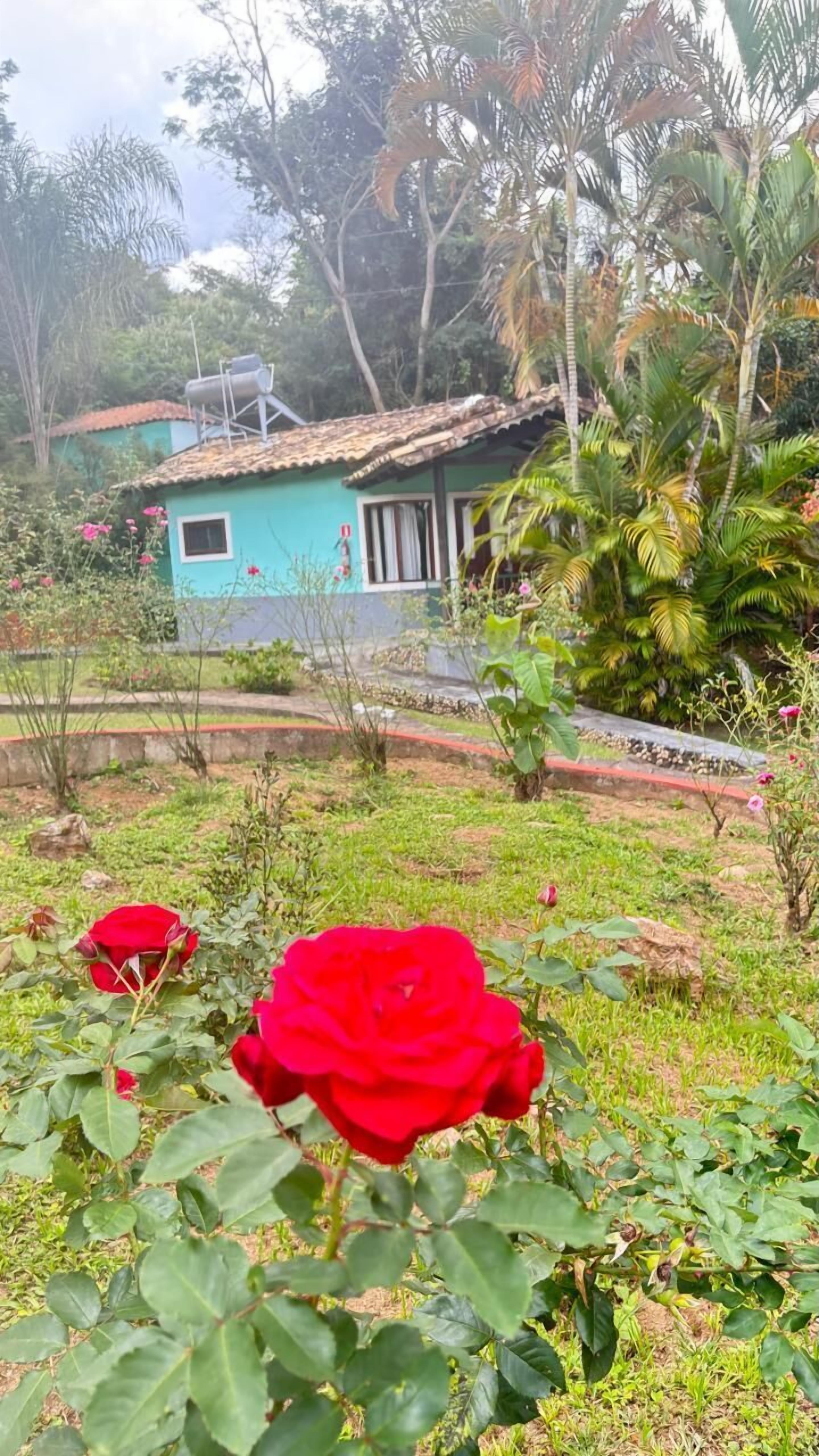 A house with a tiled roof, surrounded by lush greenery and a garden with red roses.