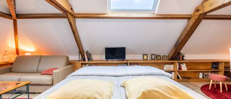 Une chambre avec un lit, une télévision, une bibliothèque et une lucarne.