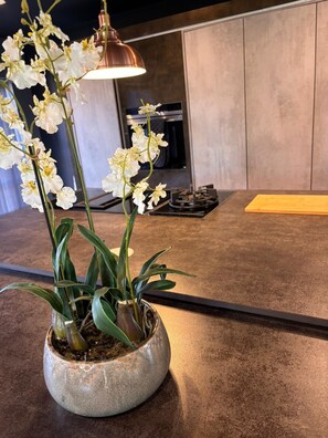 Micro-ondes, four, plaque de cuisson, lave-vaisselle