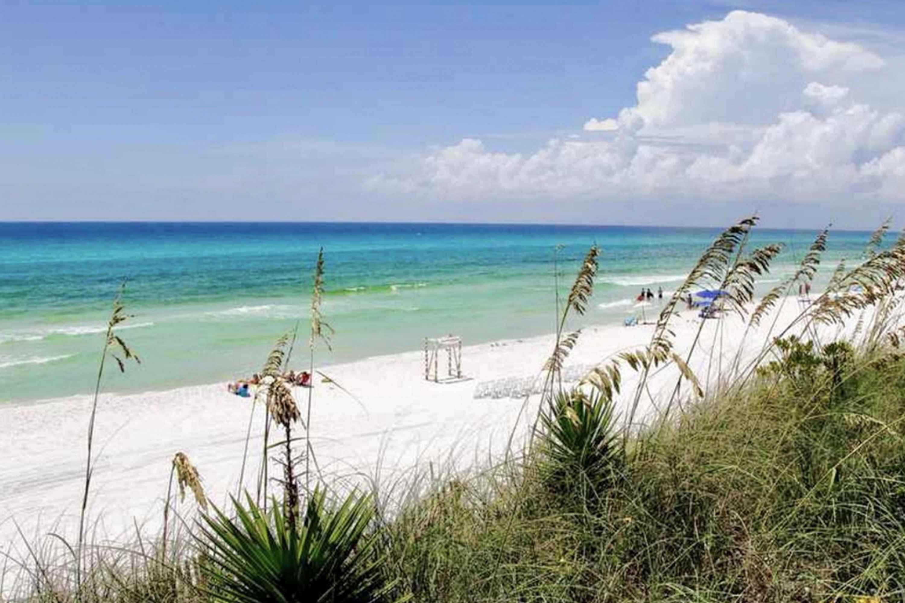Una spiaggia nelle vicinanze