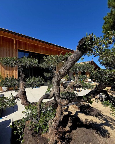 L'Eden - Cocon entre les pins, l'océan et à 800m du bassin Arcachon - Cap Ferret
