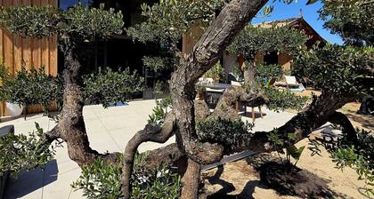 L'Eden - Cocon entre les pins, l'océan et à 800m du bassin Arcachon - Cap Ferret