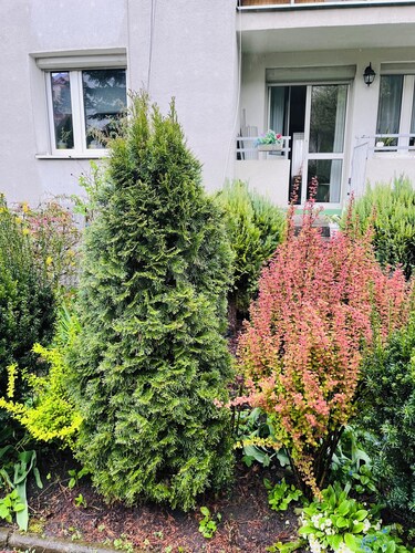 Luxury Loft with Free Parking & Garden – Central Kraków