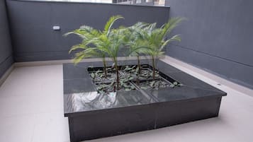 Área da propriedade