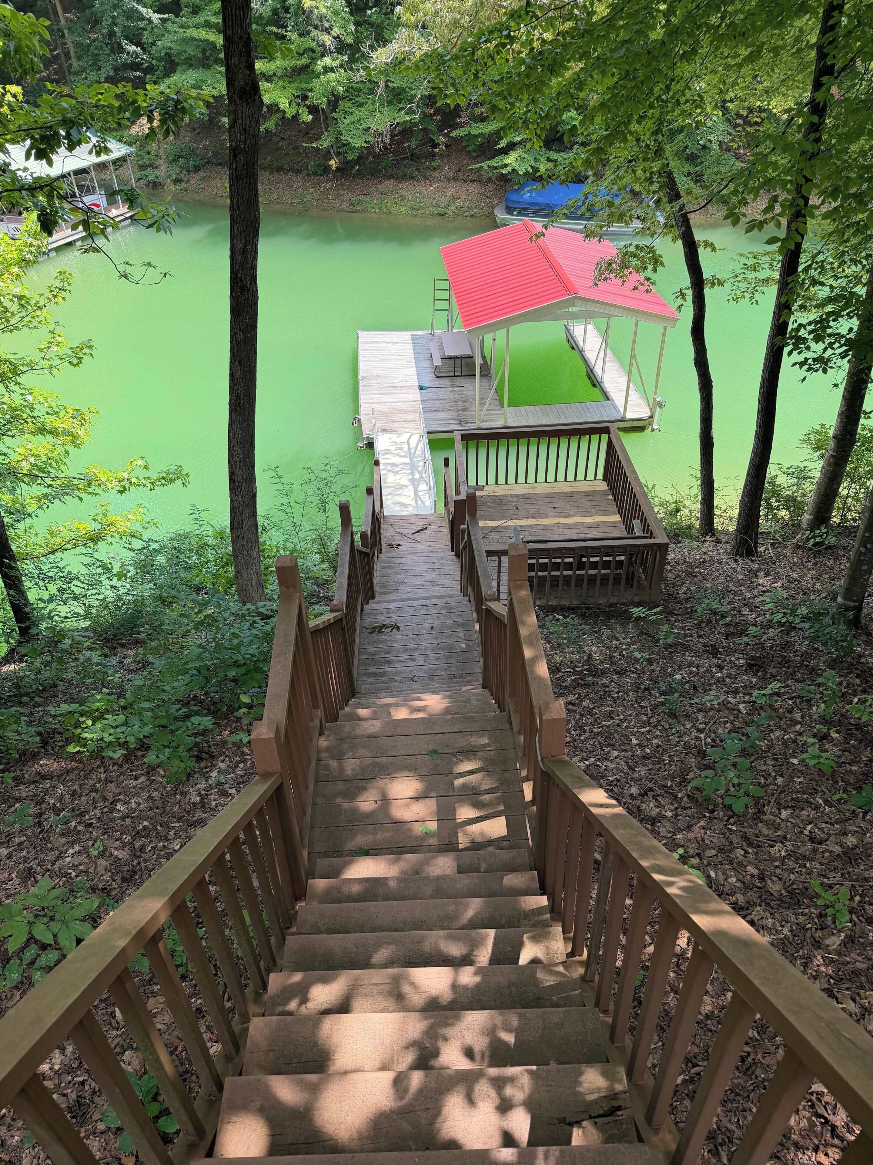 Eine Holztreppe führt zu einem Steg mit rotem Dach, umgeben von Bäumen und einer grünen Wasserfläche.