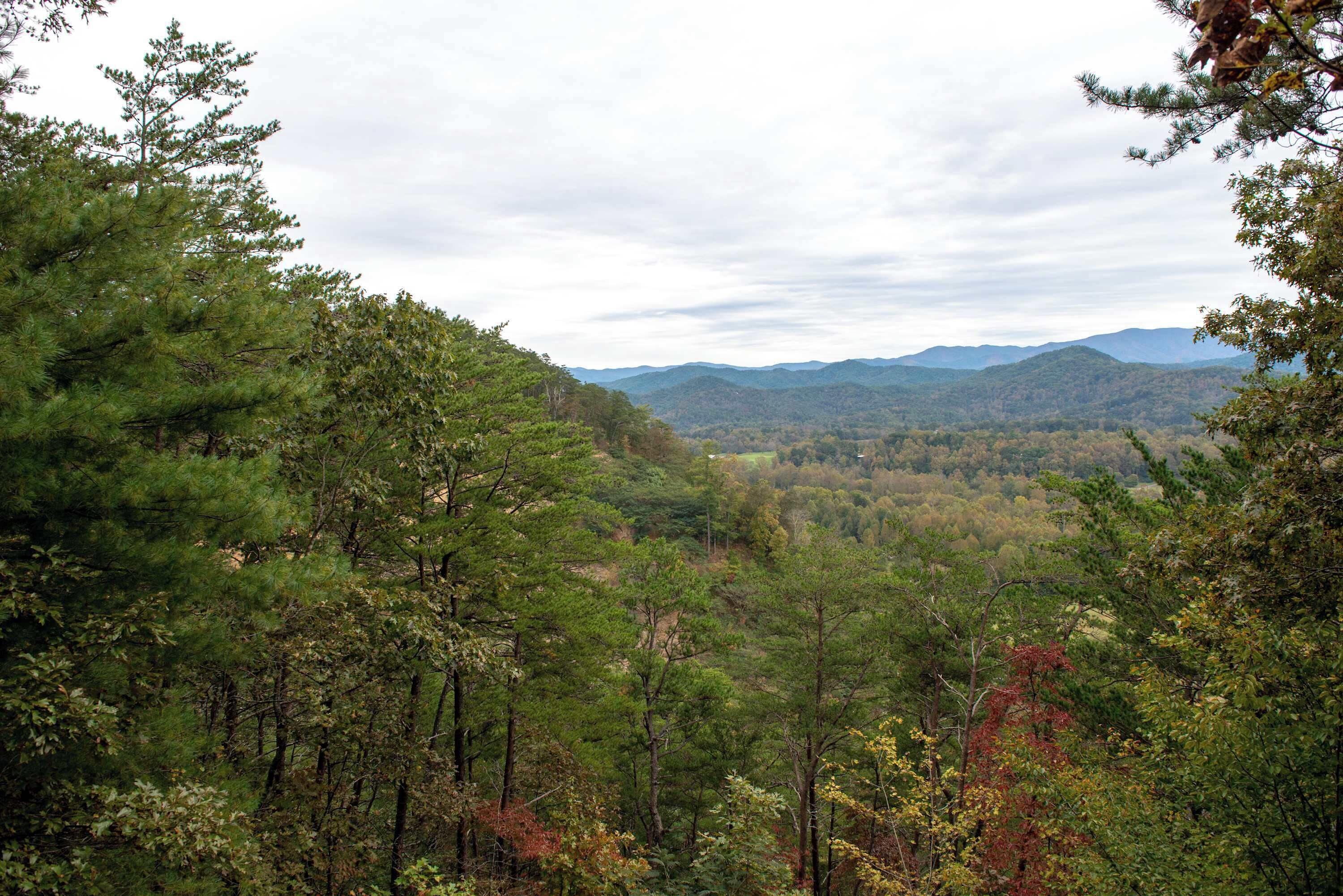 A forested landscape with a view of distant mountains.