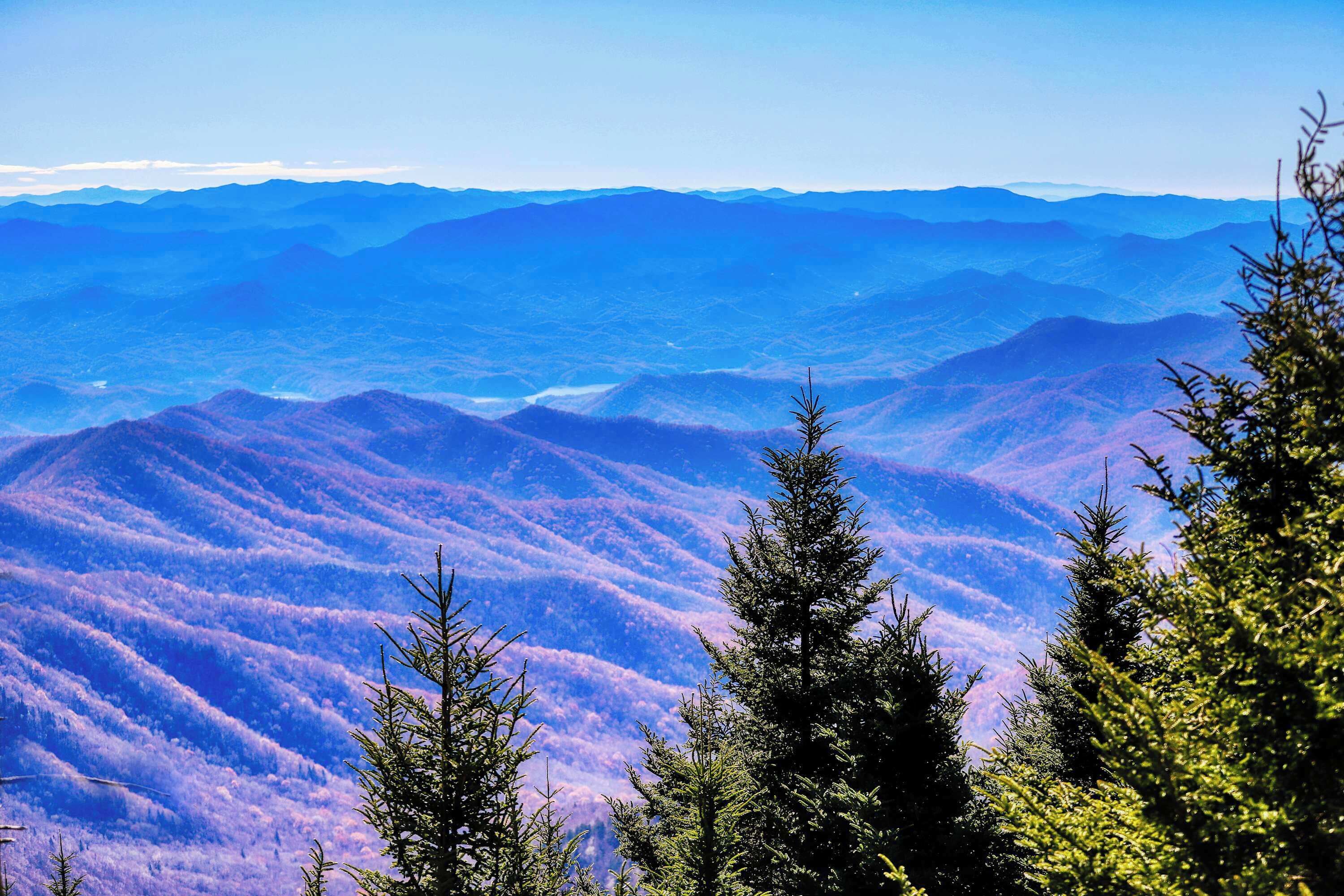 Eine gebirgige Landschaft mit dichten Wäldern und blauem Himmel.