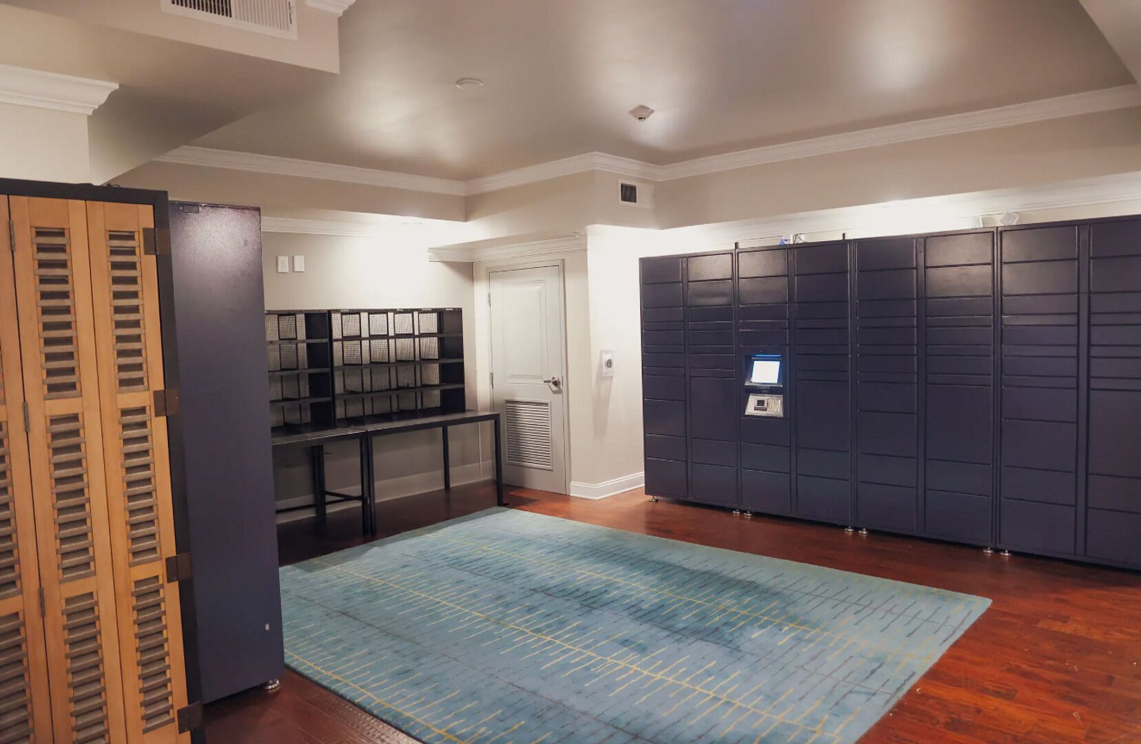 A spacious room with a large dark closet, a wooden door, and a blue patterned rug.