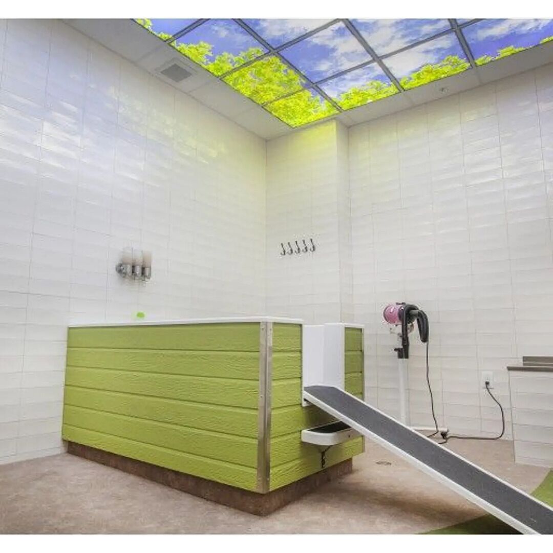 Une salle de bain avec un lavabo vert, une douche et un puits de lumière surplombant un feuillage verdoyant.