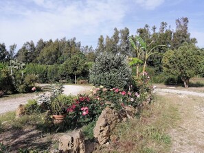 المنطقة المحيطة بالمنشأة