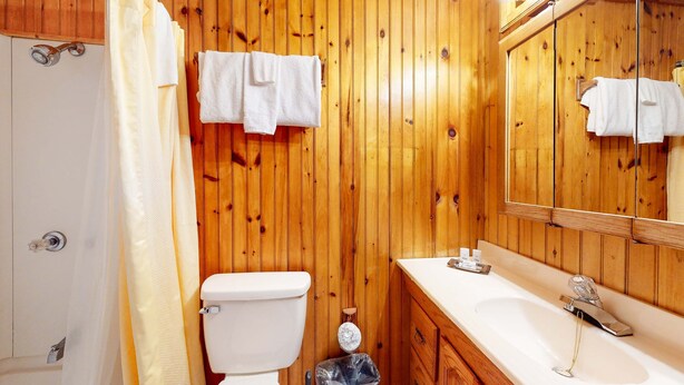 A wooden-paneled bathroom with a toilet, sink, and mirror. - 1 Mi to Anakeesta・Wood Paneled Creekside Retreat (Gatlinburg)