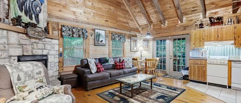 Televisión, chimenea, videojuegos, reproductor de DVD