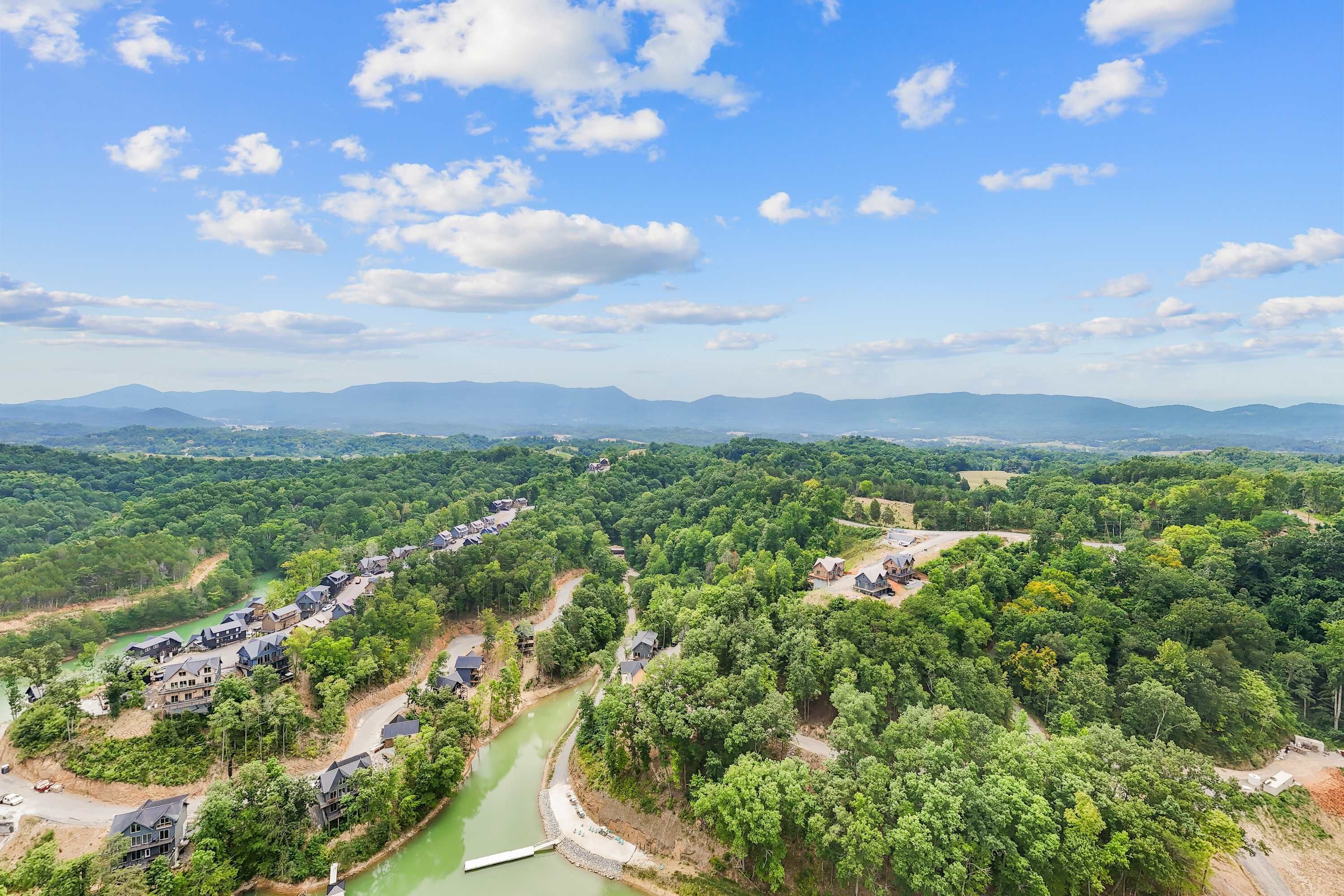 A residential area with houses along a curved road, surrounded by dense greenery and a river.