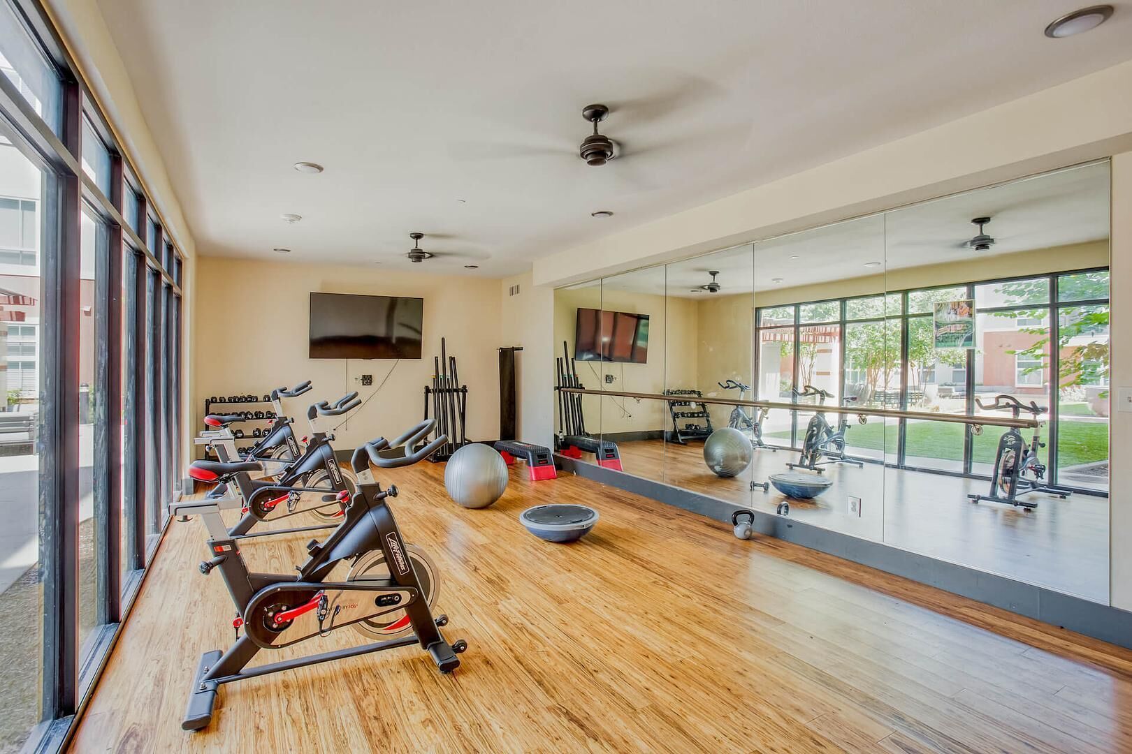 A gym with cardio machines, free weights, and exercise balls.