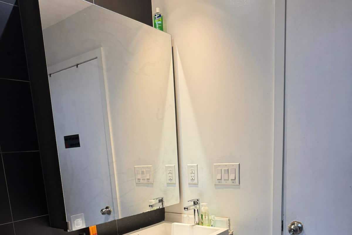 Separate tub and shower, hair dryer, towels, soap