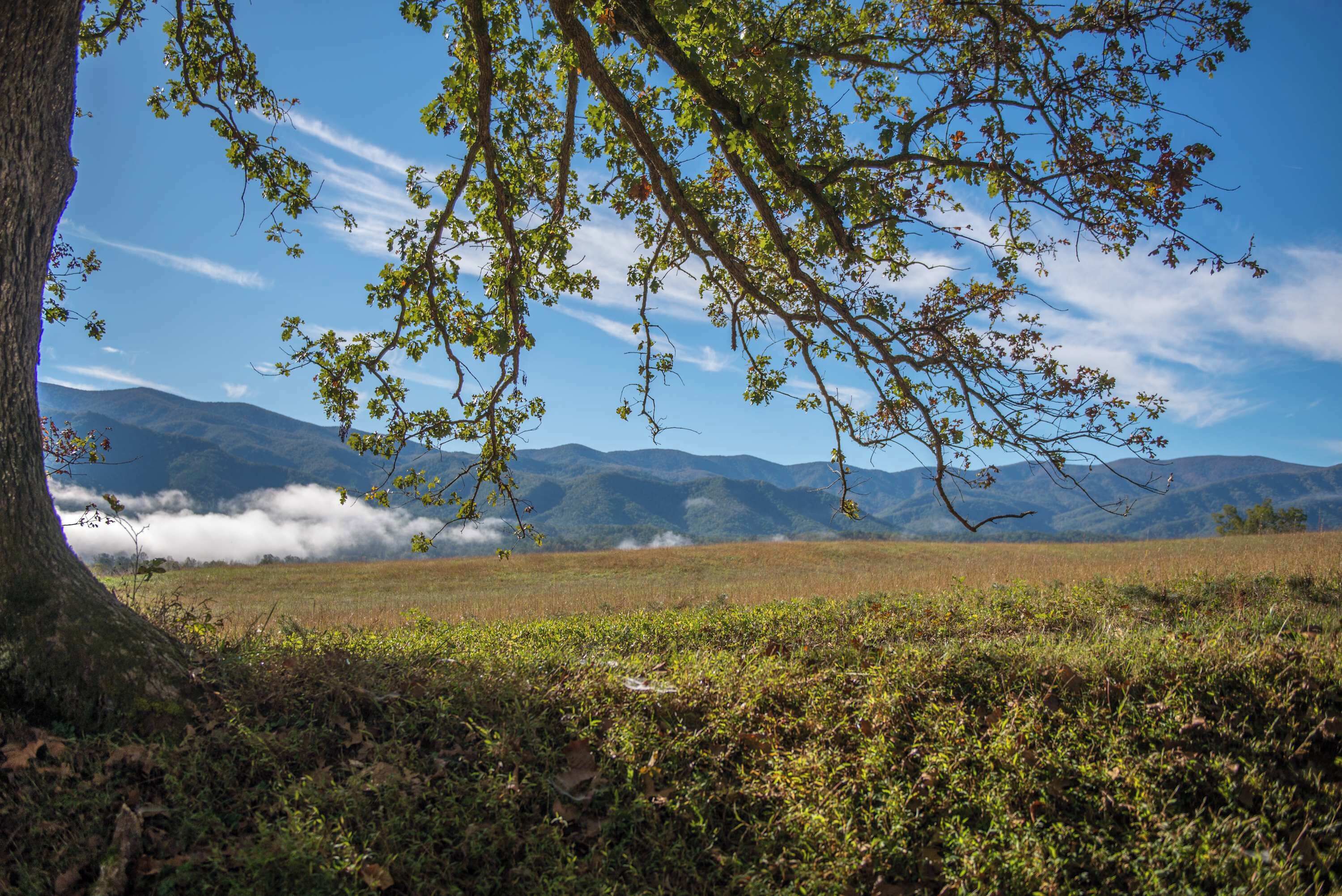 Breathe in mountain vistas and lush greenery from your outdoor retreat!