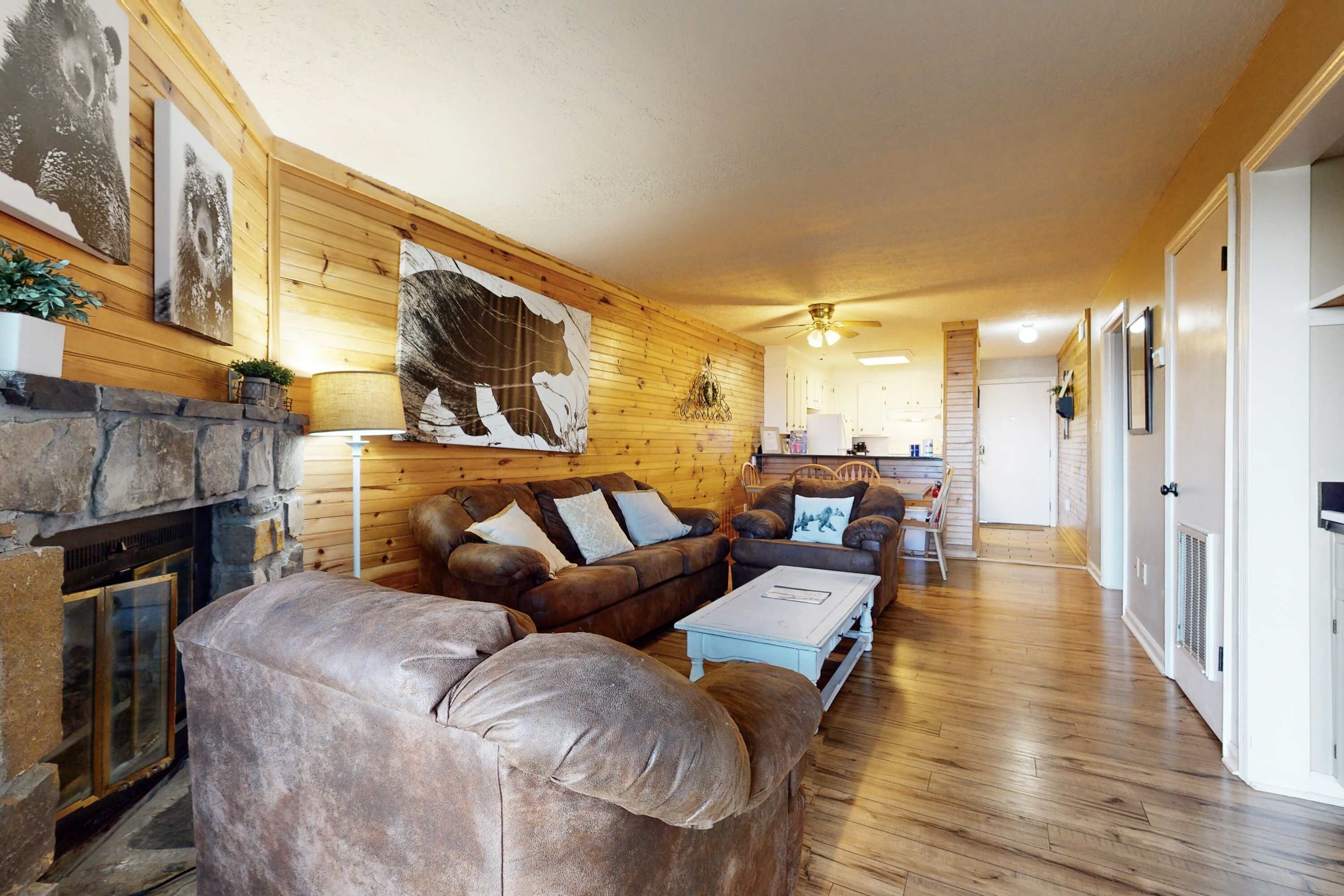 Televisio, takka, DVD-soitin