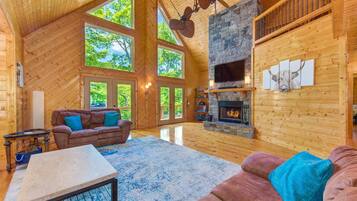 TV, fireplace, video games, DVD player