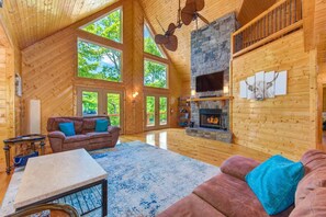 电视、壁炉、电子游戏、DVD 播放器