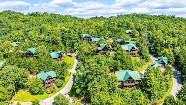 Un resort con diverse cabine circondate da una fitta foresta, collegate da strade tortuose.
