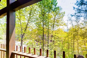Property grounds - Spacious & Attractive Log Cabin, Sleeps 4, Hot Tub (Gatlinburg)