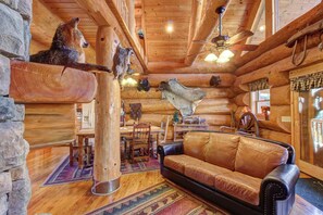 Fernseher, Kamin, DVD-Player, Arbeitsbereiche