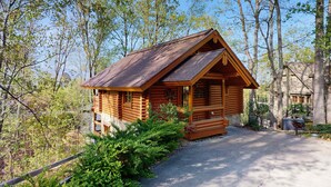 A log cabin with a sloped roof, surrounded by dense forest. - Quiet Gatlinburg Retreat・Hot tub・Fireplace・Pool (Gatlinburg)