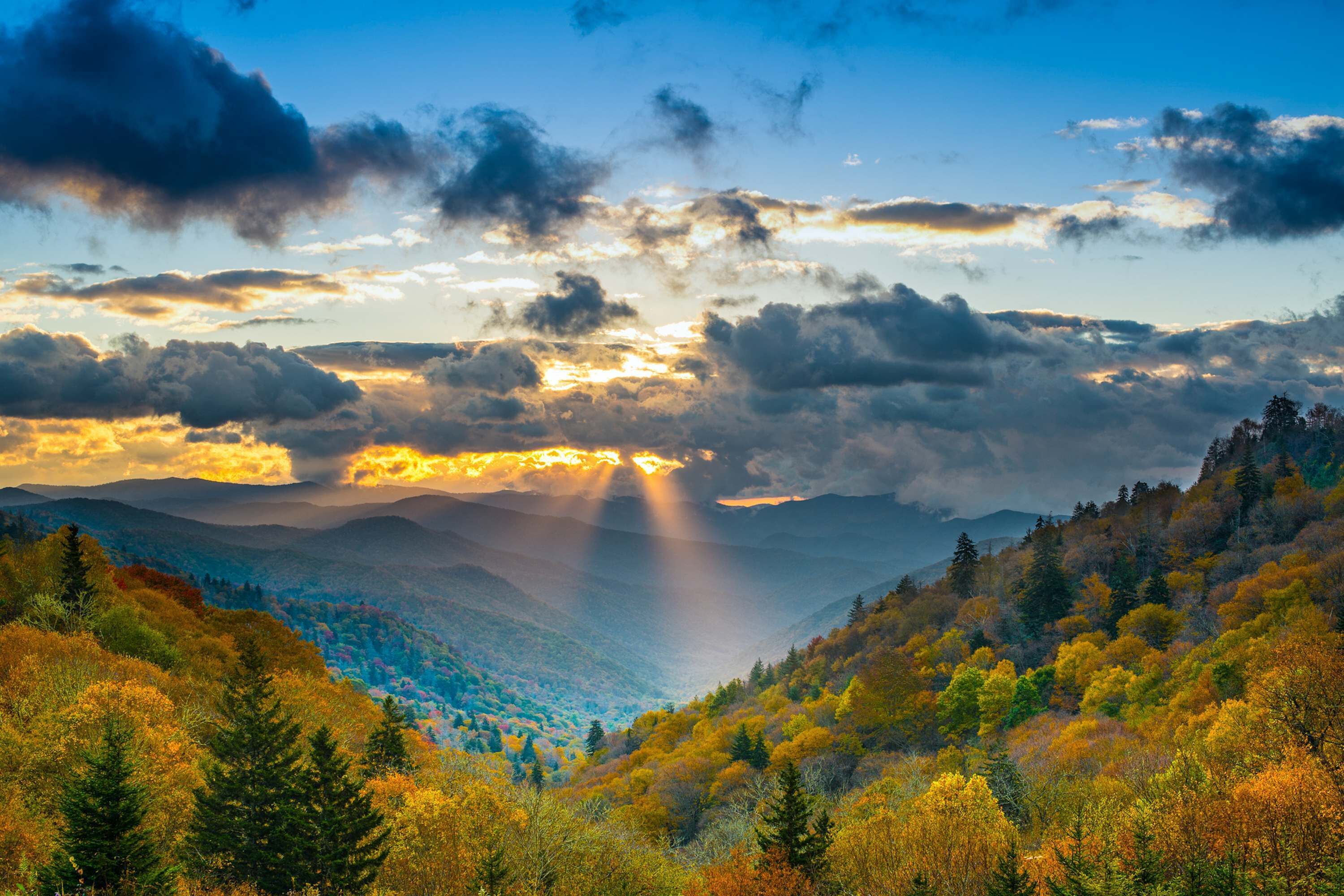 A mountainous landscape with autumn foliage and a valley.