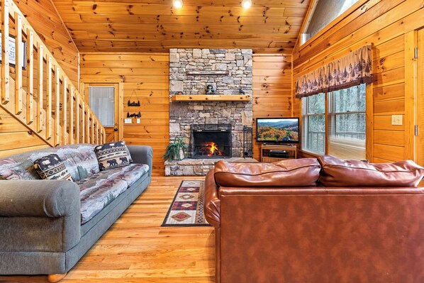 Fernseher, Kamin, DVD-Player, Arbeitsbereiche