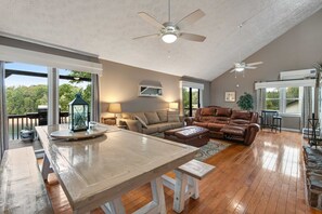 Télévision, cheminée, jeux vidéo, lecteur de DVD