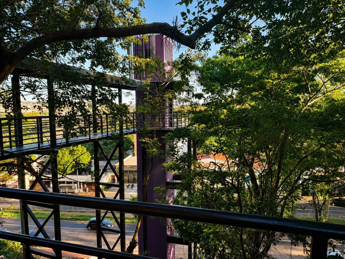 Land view from property
