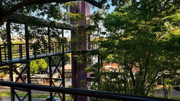 Land view from property