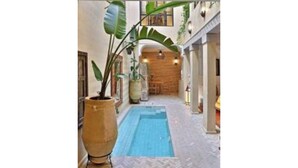 A narrow indoor pool area with a herringbone floor pattern, surrounded by large potted plants and a wooden wall in the background. - Riad dar Tayri (Marrakech)