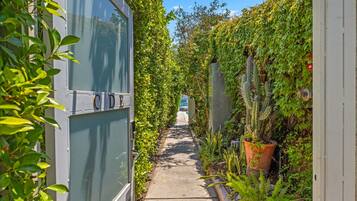 Habitación individual de lujo, 1 habitación, vista a la alberca | Áreas de la propiedad