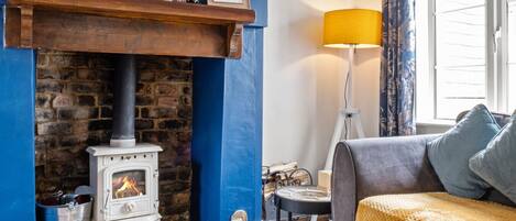 TV, fireplace, books