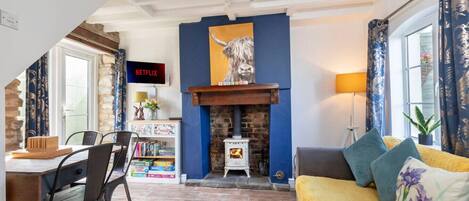 TV, fireplace, books