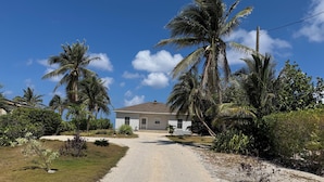 Una casa con camino de entrada de grava, rodeada de palmeras y arbustos.