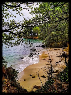 Ein Strand mit klarem Wasser, umgeben von dichtem Grün und Felsformationen.