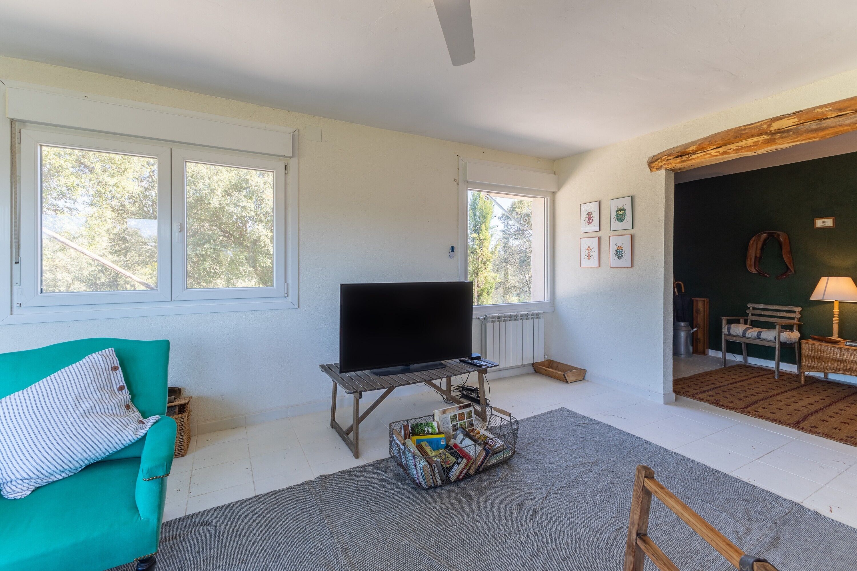 A living room with a TV, a sofa, a basket of magazines, and a window with a view of trees.