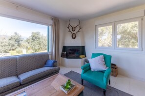 Télévision, cheminée