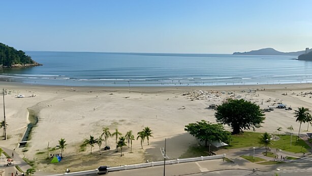 Una playa con una carretera que la bordea, palmeras y una vista despejada del océano.