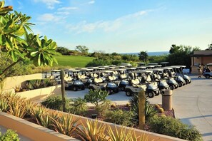 Property grounds - Beach Club and Family Villa, Free Airport Transfer (Ciudad de los cabos)