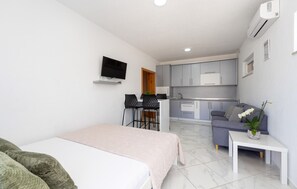 A compact hotel room with a bed, a small seating area, a kitchenette, and a television. - Amazing apartment in Vir with WiFi (Vir)