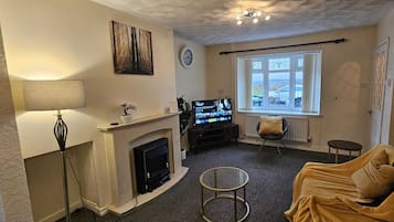 Smart TV, fireplace, books