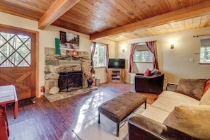 Televisión, chimenea, reproductor de DVD y libros